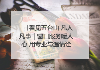 看见五台山 凡人凡事｜窗口服务暖人心 用专业与温情诠释责任担当