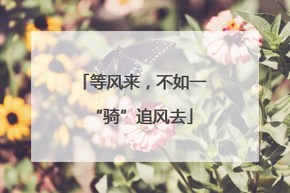等风来，不如一“骑”追风去