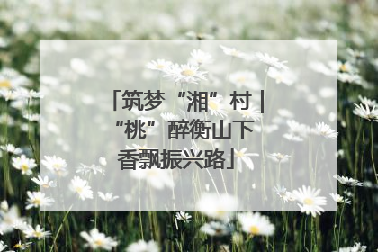 筑梦“湘”村｜“桃”醉衡山下 香飘振兴路