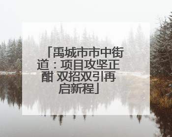 禹城市市中街道：项目攻坚正酣 双招双引再启新程