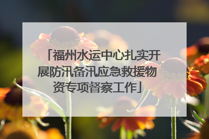 福州水运中心扎实开展防汛备汛应急救援物资专项督察工作