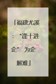 福建尤溪：“逢十进企” 为企解难