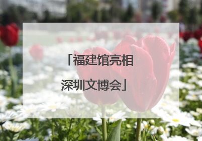 福建馆亮相深圳文博会