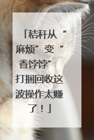 秸秆从“麻烦”变“香饽饽” 打捆回收这波操作太赚了！