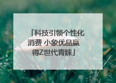 科技引领个性化消费 小象优品赢得Z世代青睐
