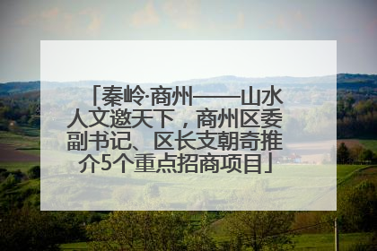 秦岭·商州——山水人文邀天下，商州区委副书记、区长支朝奇推介5个重点招商项目