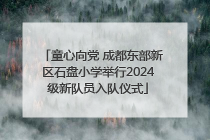 童心向党 成都东部新区石盘小学举行2024级新队员入队仪式