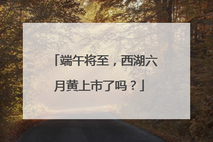 端午将至，西湖六月黄上市了吗？