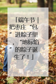端午节｜把枣庄“包”进粽子里，“地标馅”的粽子诞生了！