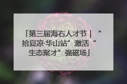 第三届海右人才节｜“拾夏凉·华山站”激活“生态聚才”强磁场