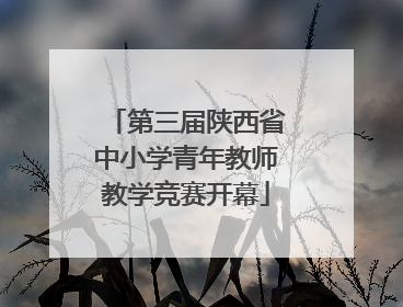 第三届陕西省中小学青年教师教学竞赛开幕