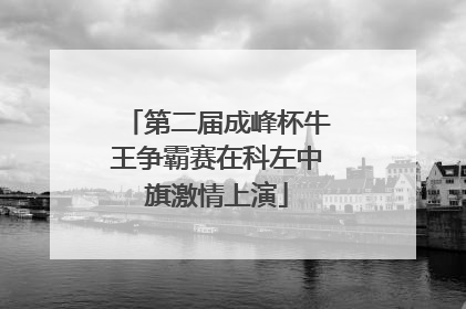 第二届成峰杯牛王争霸赛在科左中旗激情上演