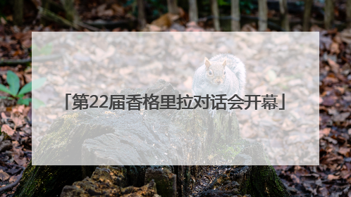 第22届香格里拉对话会开幕