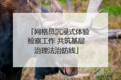 网格员沉浸式体验检察工作 共筑基层治理法治防线