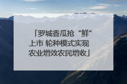 罗城香瓜抢“鲜”上市 轮种模式实现农业增效农民增收