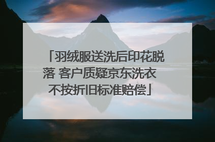 羽绒服送洗后印花脱落 客户质疑京东洗衣不按折旧标准赔偿