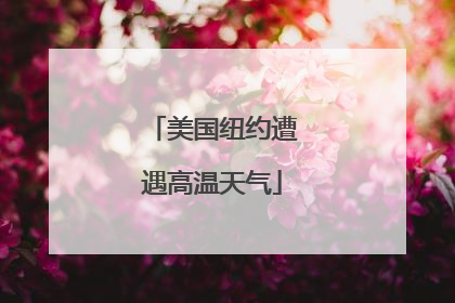 美国纽约遭遇高温天气