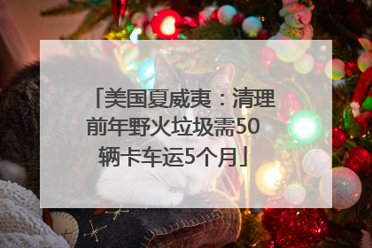 美国夏威夷：清理前年野火垃圾需50辆卡车运5个月
