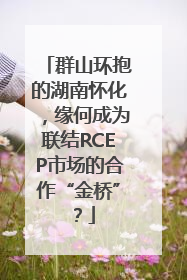 群山环抱的湖南怀化，缘何成为联结RCEP市场的合作“金桥”？