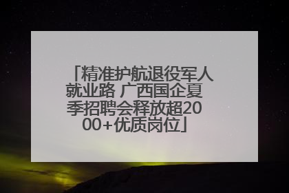 精准护航退役军人就业路 广西国企夏季招聘会释放超2000+优质岗位