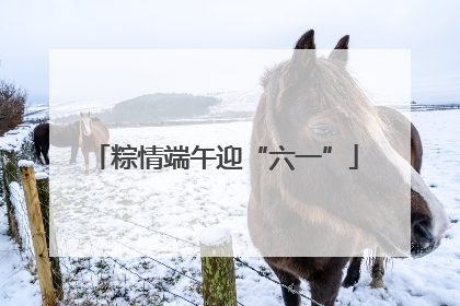 粽情端午迎“六一”