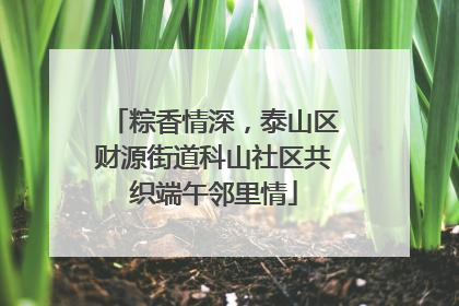 粽香情深，泰山区财源街道科山社区共织端午邻里情