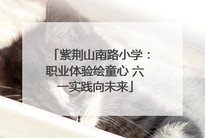 紫荆山南路小学：职业体验绘童心 六一实践向未来