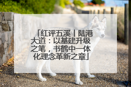 红评五溪丨陆港大道：以基建升级之笔，书鹤中一体化理念革新之章