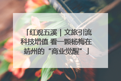 红观五溪｜文旅引流 科技增值 看一颗杨梅在靖州的“商业觉醒”