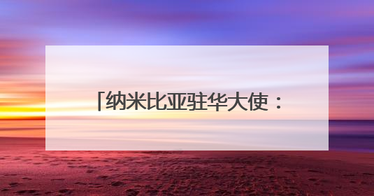 纳米比亚驻华大使：中国经验表明，现代化不光是经济腾飞