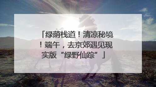 绿荫栈道！清凉秘境！端午，去京郊遇见现实版“绿野仙踪”