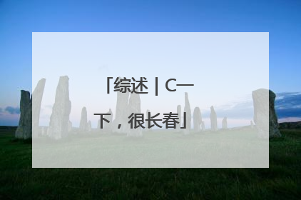 综述｜C一下，很长春