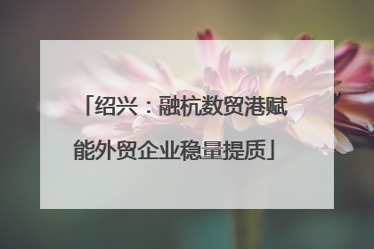 绍兴：融杭数贸港赋能外贸企业稳量提质