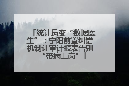 统计员变“数据医生”：宁阳前置纠错机制让审计报表告别“带病上岗”