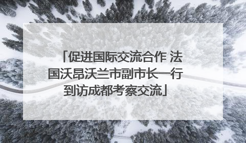 促进国际交流合作 法国沃昂沃兰市副市长一行到访成都考察交流