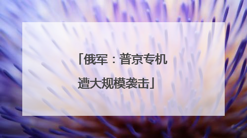 俄军：普京专机遭大规模袭击