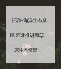 保护海洋生态系统 河北推进海草床生态修复