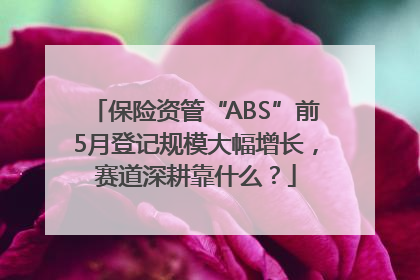 保险资管“ABS”前5月登记规模大幅增长，赛道深耕靠什么？