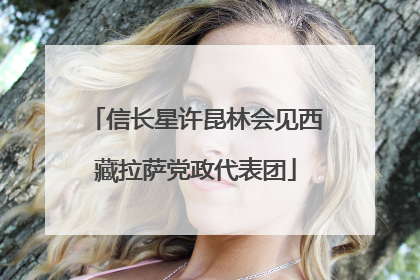 信长星许昆林会见西藏拉萨党政代表团