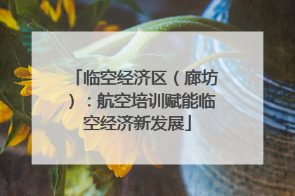 临空经济区（廊坊）：航空培训赋能临空经济新发展
