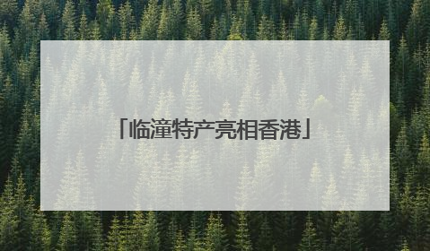 临潼特产亮相香港