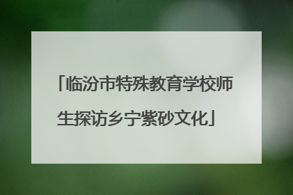 临汾市特殊教育学校师生探访乡宁紫砂文化