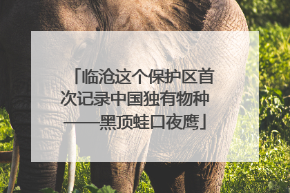 临沧这个保护区首次记录中国独有物种——黑顶蛙口夜鹰