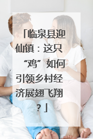 临泉县迎仙镇：这只“鸡”如何引领乡村经济展翅飞翔？