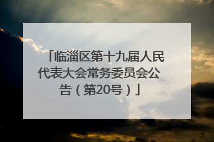 临淄区第十九届人民代表大会常务委员会公告（第20号）