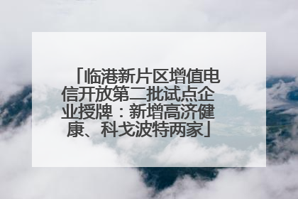 临港新片区增值电信开放第二批试点企业授牌：新增高济健康、科戈波特两家