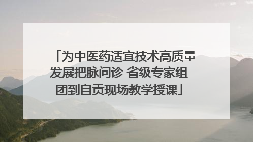 为中医药适宜技术高质量发展把脉问诊 省级专家组团到自贡现场教学授课
