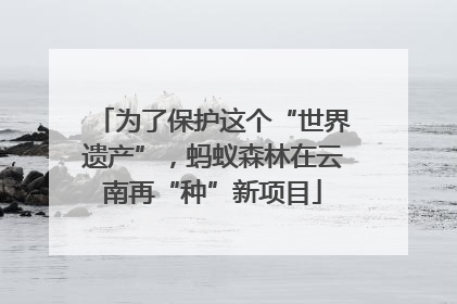 为了保护这个“世界遗产”，蚂蚁森林在云南再“种”新项目