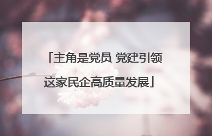 主角是党员 党建引领这家民企高质量发展