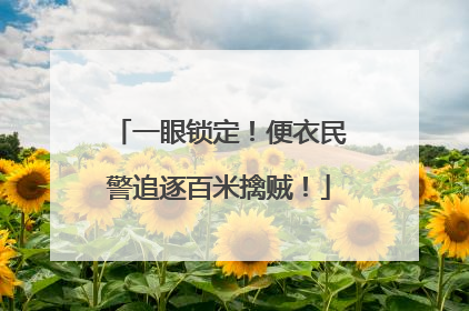 一眼锁定！便衣民警追逐百米擒贼！